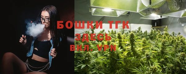ГАЛЛЮЦИНОГЕННЫЕ ГРИБЫ Новозыбков