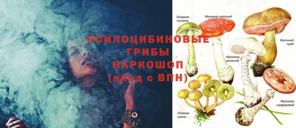 гидропоника Нязепетровск