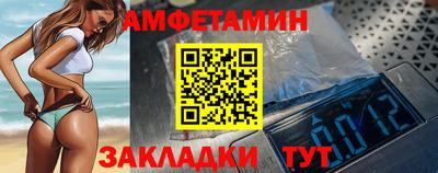шишки Заволжье