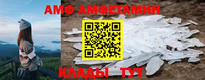 шишки Заволжье