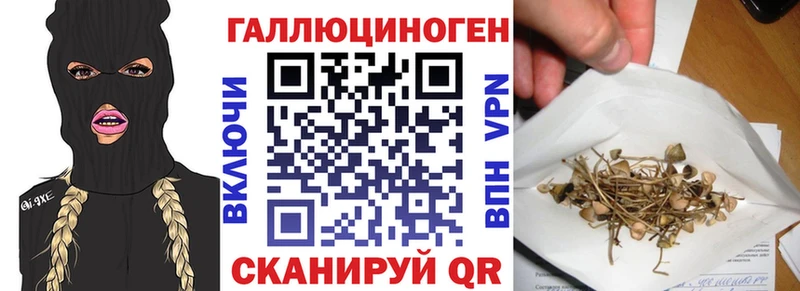 omg tor  Ревда  Псилоцибиновые грибы MAGIC MUSHROOMS 