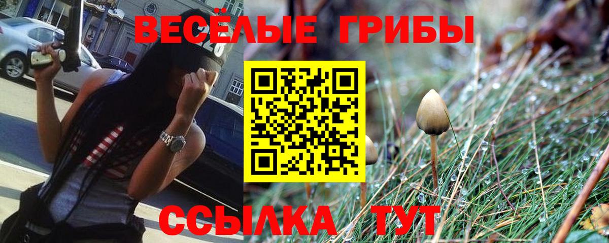 Псилоцибиновые грибы Psilocybe Ревда