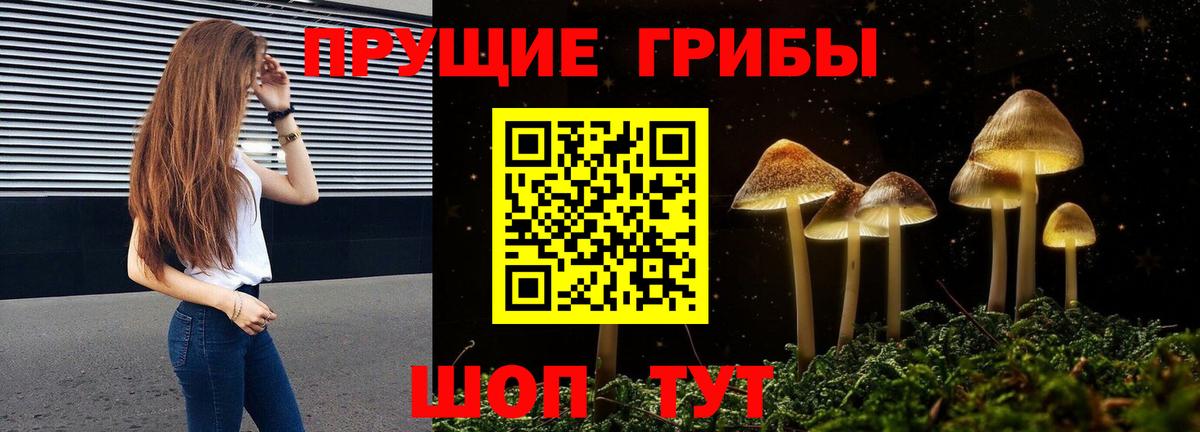 Псилоцибиновые грибы GOLDEN TEACHER  Вход с VPN  Ревда  Псилоцибиновые грибы MAGIC MUSHROOMS 